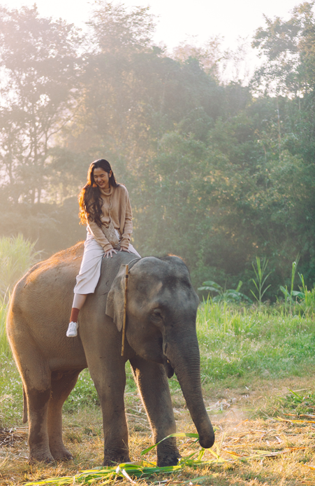 elephant ride