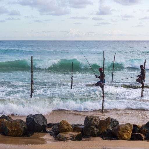 reise mit uns sri lanka 7