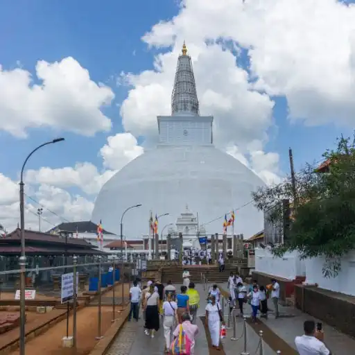 reise mit uns sri lanka ruwanweliseya anuradhapura