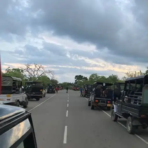 reise mit uns sri lanka yala safari
